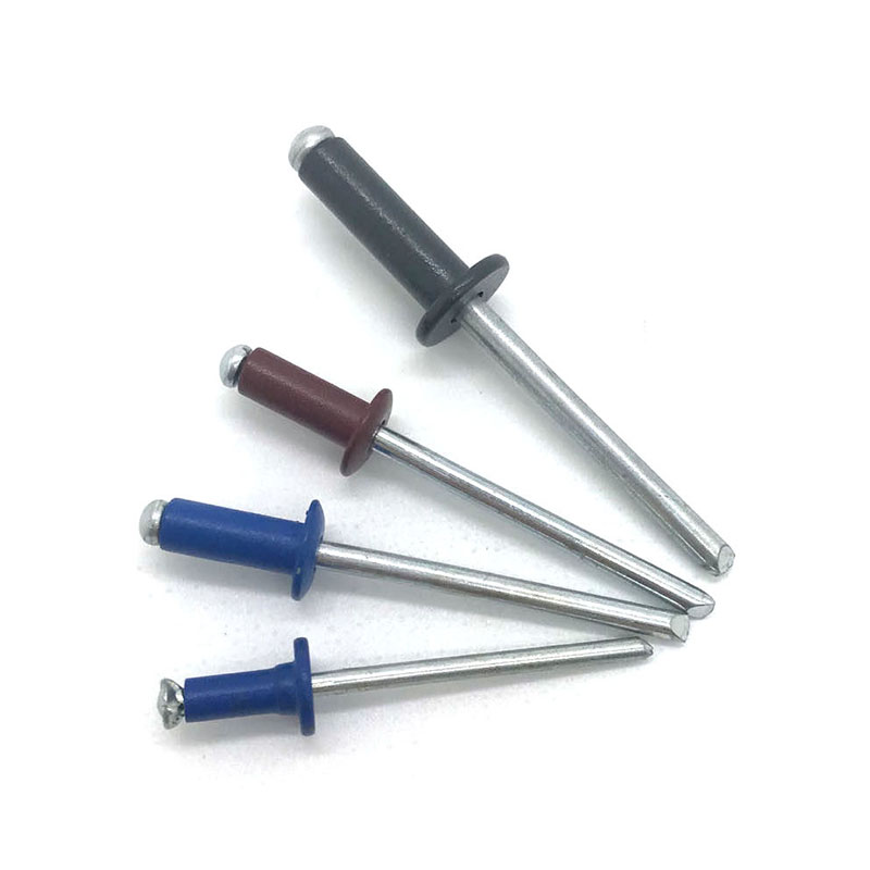 CABEÇA COLATE PINTUNDO DO RIBITE CEGO